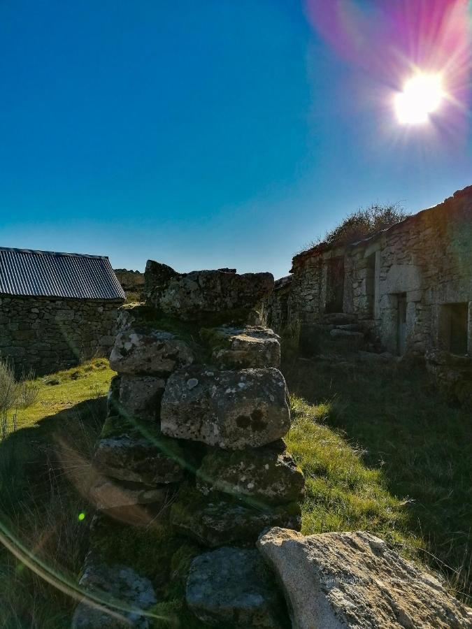 Casa Largo S Lourenco E Casa Da Videira Mazes エクステリア 写真
