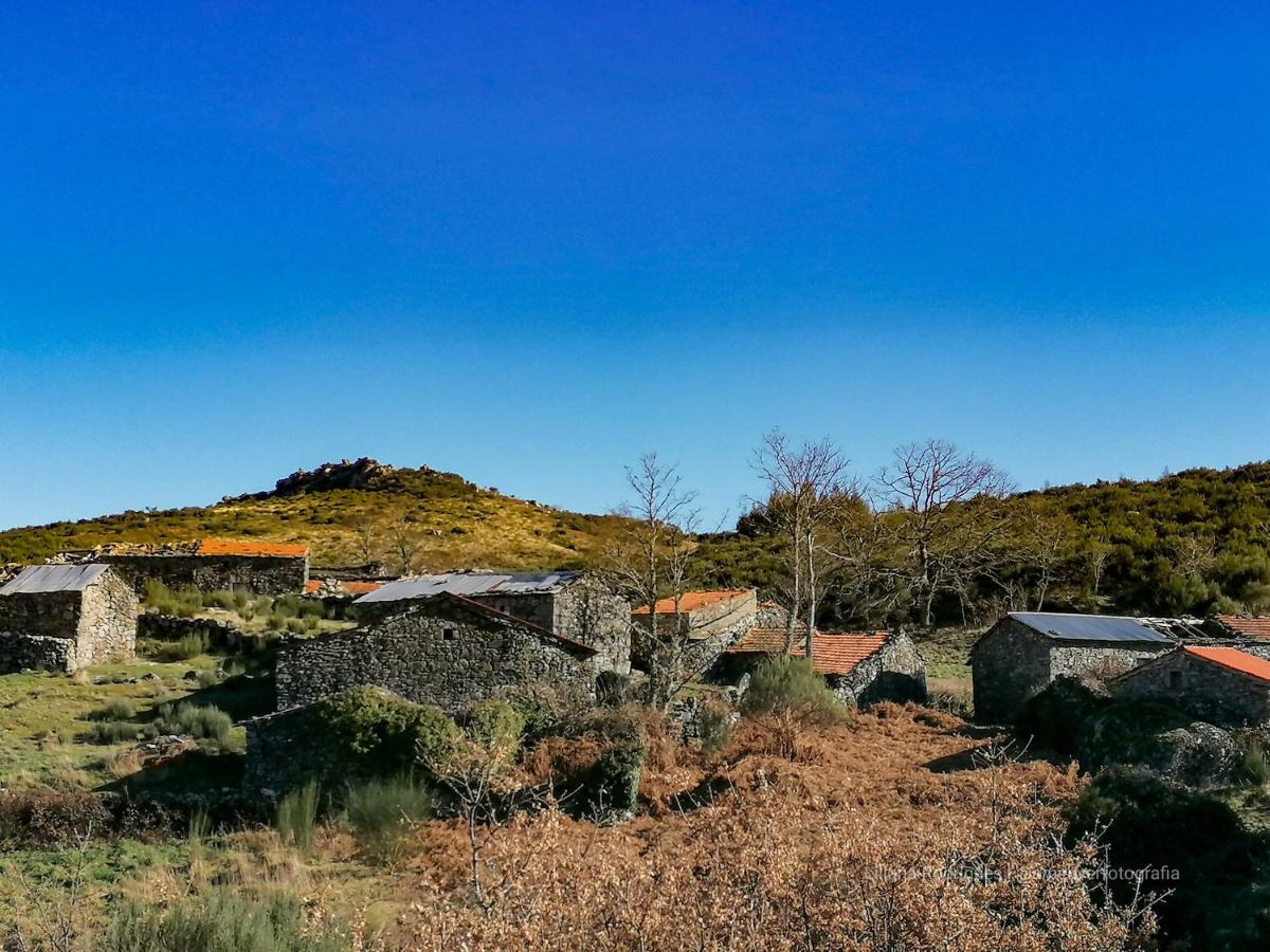 Casa Largo S Lourenco E Casa Da Videira Mazes エクステリア 写真