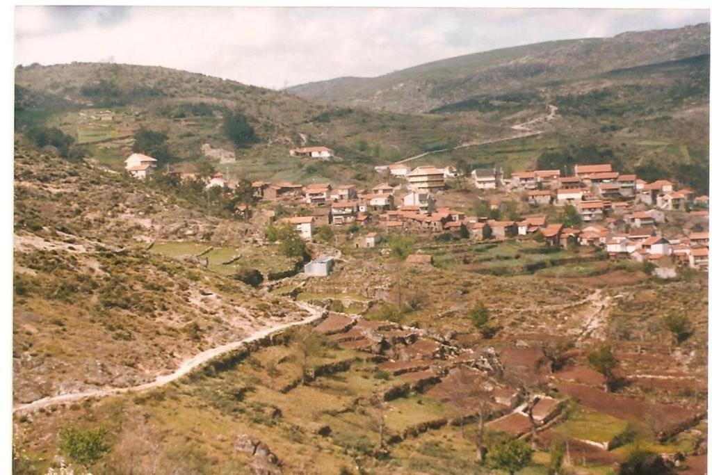 Casa Largo S Lourenco E Casa Da Videira Mazes エクステリア 写真